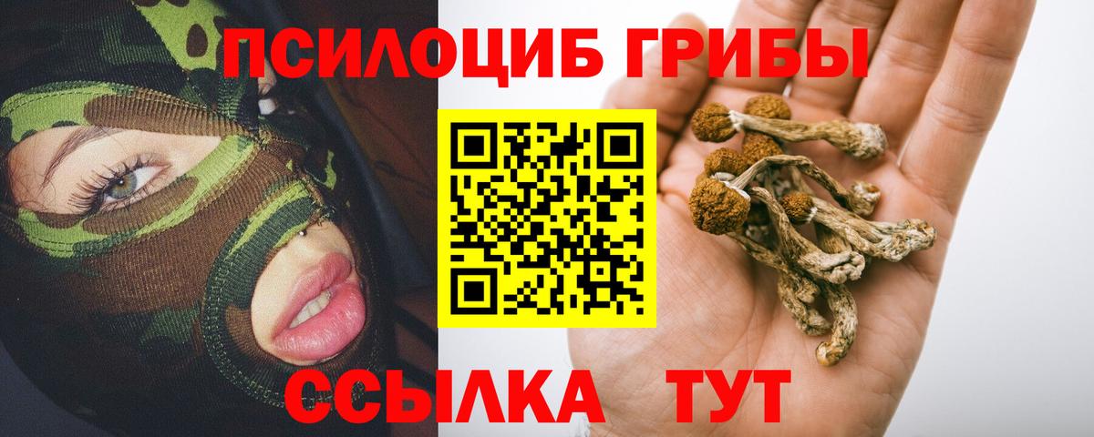 Кольчугино  Галлюциногенные грибы Magic Shrooms  Псилоцибиновые грибы GOLDEN TEACHER  Вход с VPN 